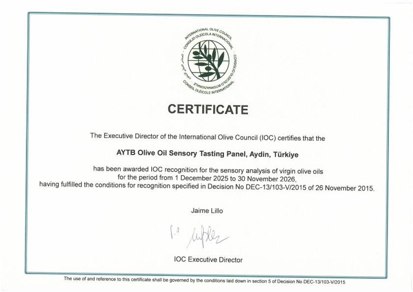 Certificate 2